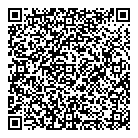 QR код "Diodvl.ru"