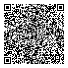 QR код "Dvspark"