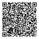 QR код "Паутина"