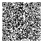 QR код "ALIS AUDIT"