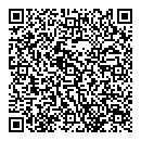 QR код "Polaris"
