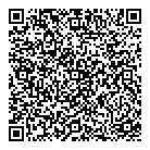 QR код "DAN-TRANS"