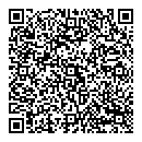 QR код "Picasso"