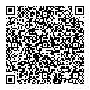 QR код "QIWI"