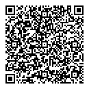 QR код "Fiesta"