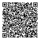 QR код "Хамелеон"