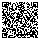 QR код "TOP GUN"