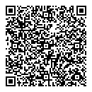 QR код "Паутинка"