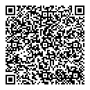 QR код "Блеск"