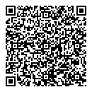 QR код "Bricks"