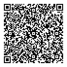 QR код "Domini"