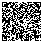 QR код "Da Vinci"