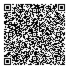 QR код "ДМ Ломбард, ТОО"