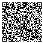 QR код "Sky Lion"