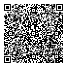 QR код "Rock Vector"