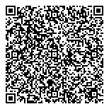 QR код "Лицей №533"