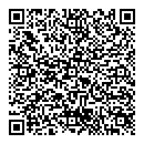 QR код "Феникс"