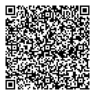 QR код "Zeppelin"
