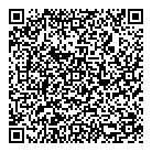 QR код "Светико"