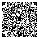 QR код "Chrome"