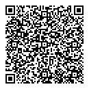 QR код "Блеск"