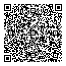 QR код "Stars"
