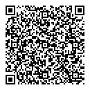 QR код "Техно-Шара"