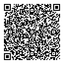 QR код "Блеск"