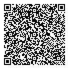 QR код "DNS"
