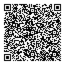 QR код "Блеск"