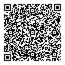 QR код "Арсенал"