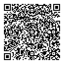 QR код "Венеция"