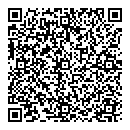 QR код "Borgan"