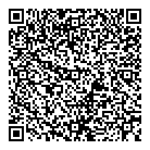 QR код "Luminocity"