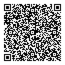 QR код "Геометри"