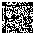 QR код "Ноев ковчег"