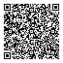 QR код "flash"