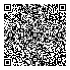 QR код "Starlink"