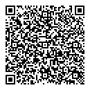 QR код "Викинг"