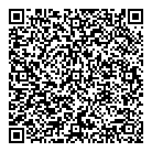 QR код "Рыжий кот"