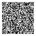 QR код "Домини-лайт"