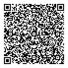 QR код "Фейерверк-мастер"