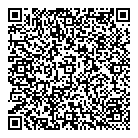 QR код "DNS"