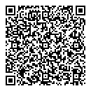 QR код "Сова"