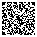 QR код "Глобус"