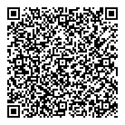 QR код "Шайн"