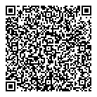 QR код "Boy-Toys"