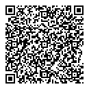 QR код "Домино"
