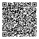 QR код "Колизей"