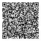 QR код "ДНС"